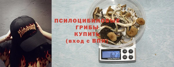 твердый Дмитровск