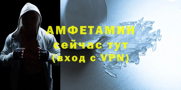 твердый Дмитровск