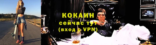 твердый Дмитровск
