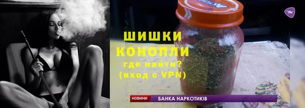 твердый Дмитровск