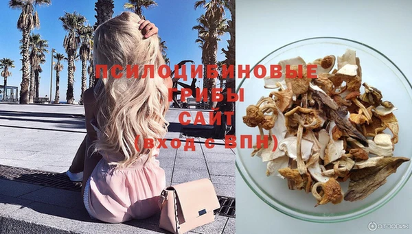твердый Дмитровск